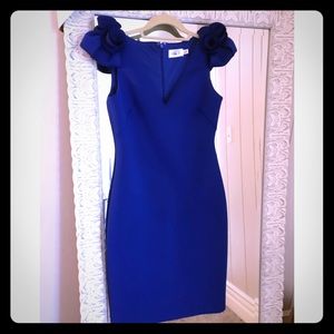 Royal Blue Eliza J dress